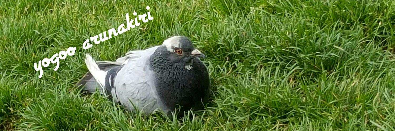 aharan12's profile banner image