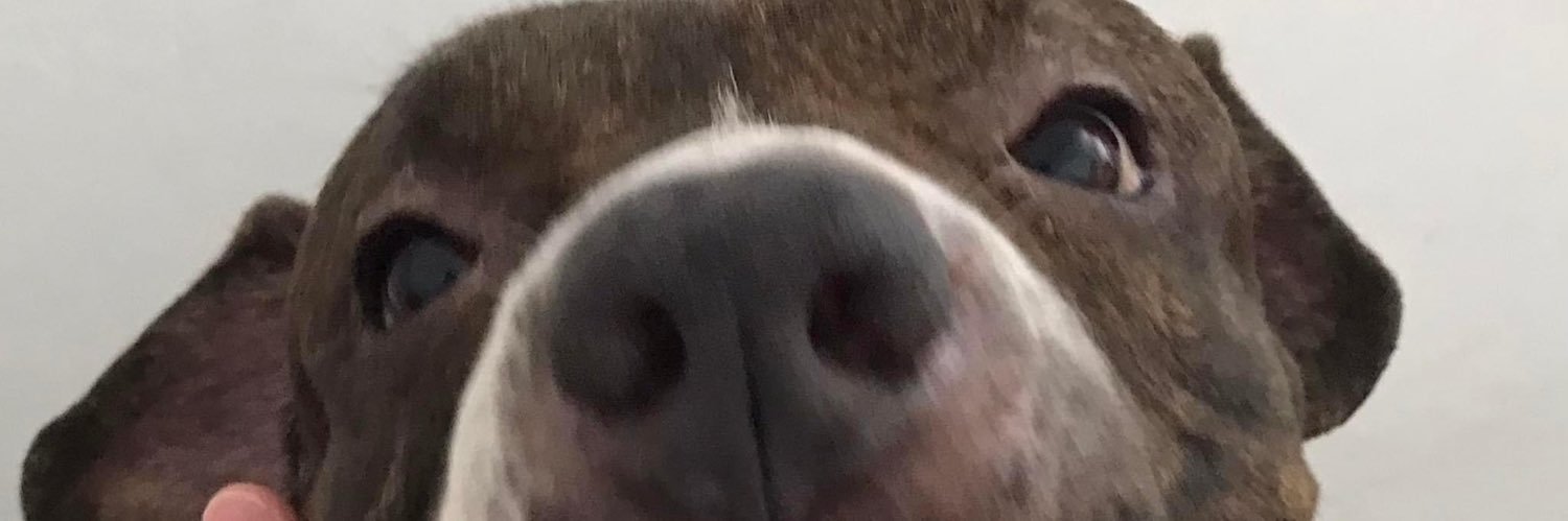 foreroantonio27's profile banner image