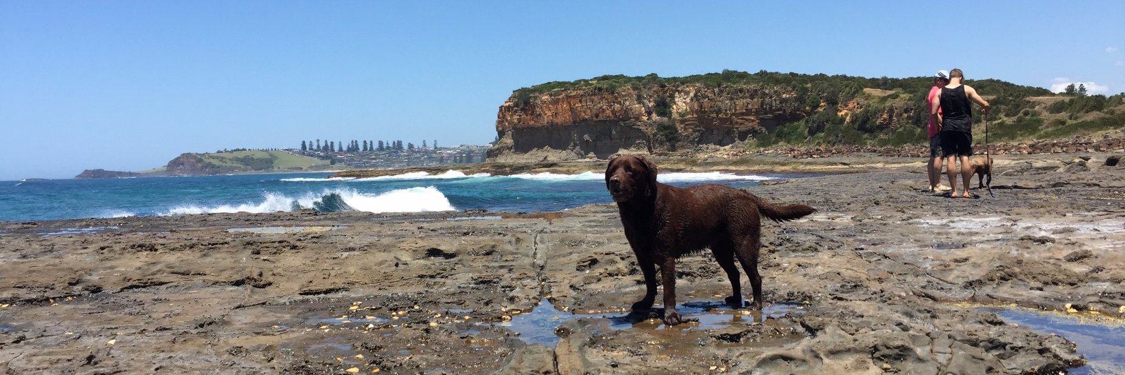 Alex Richardson banner