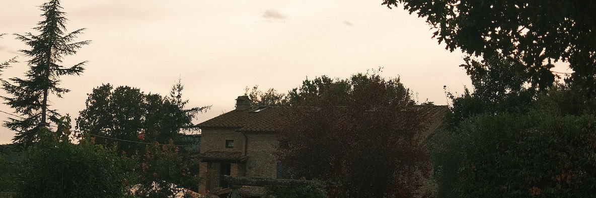emweisman's profile banner image