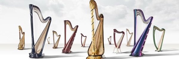 salvi_harps Profile Banner