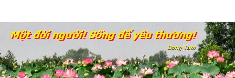 dangtam54's profile banner image