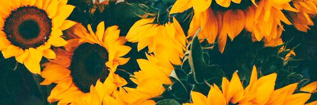 ByJohis's profile banner image