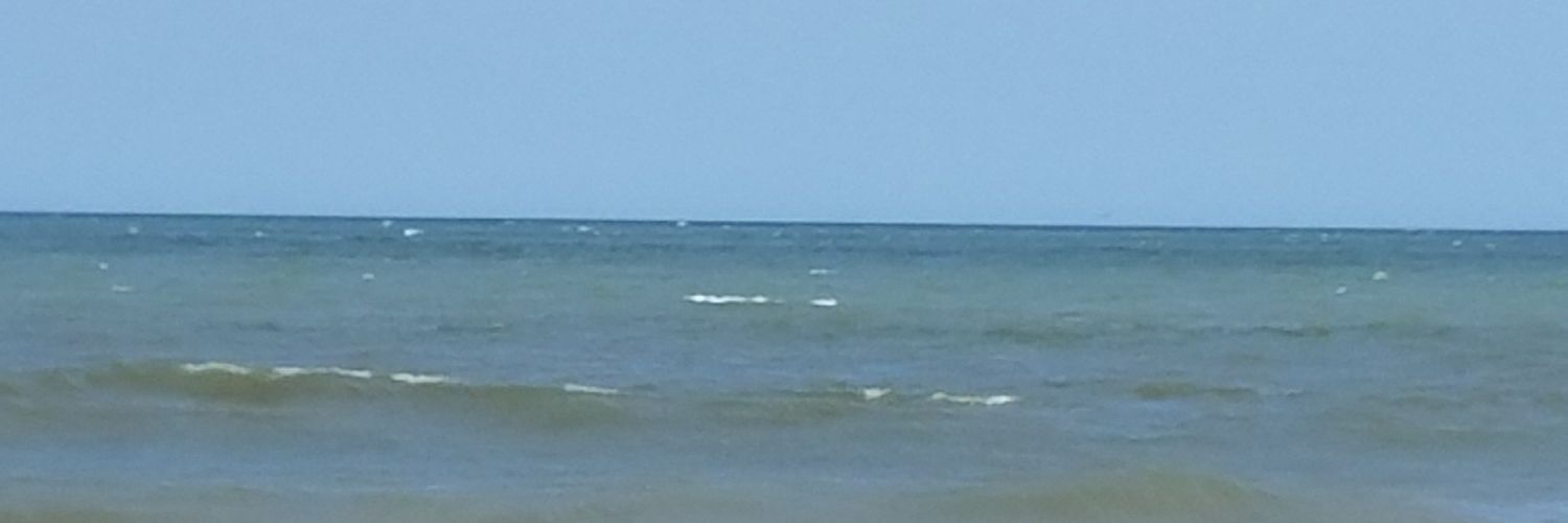 Katherine Maness banner