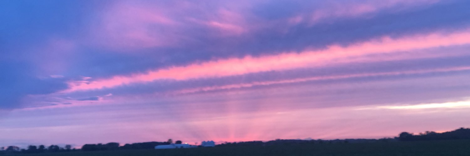 Patricia_Rose33's profile banner image