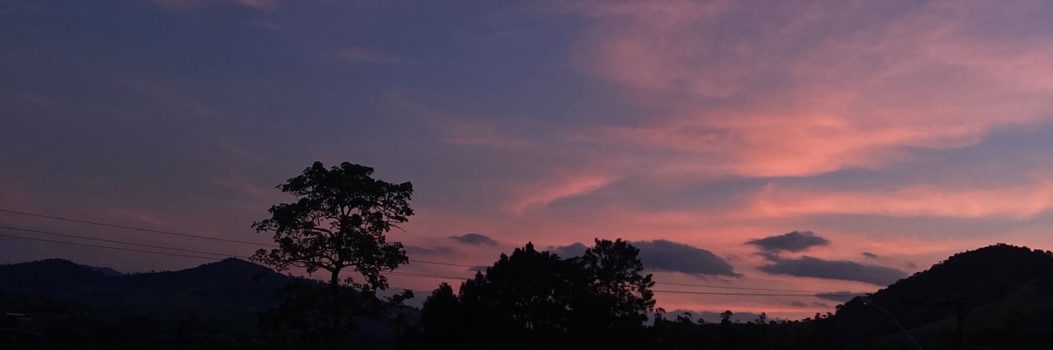 _camille_stf's profile banner image