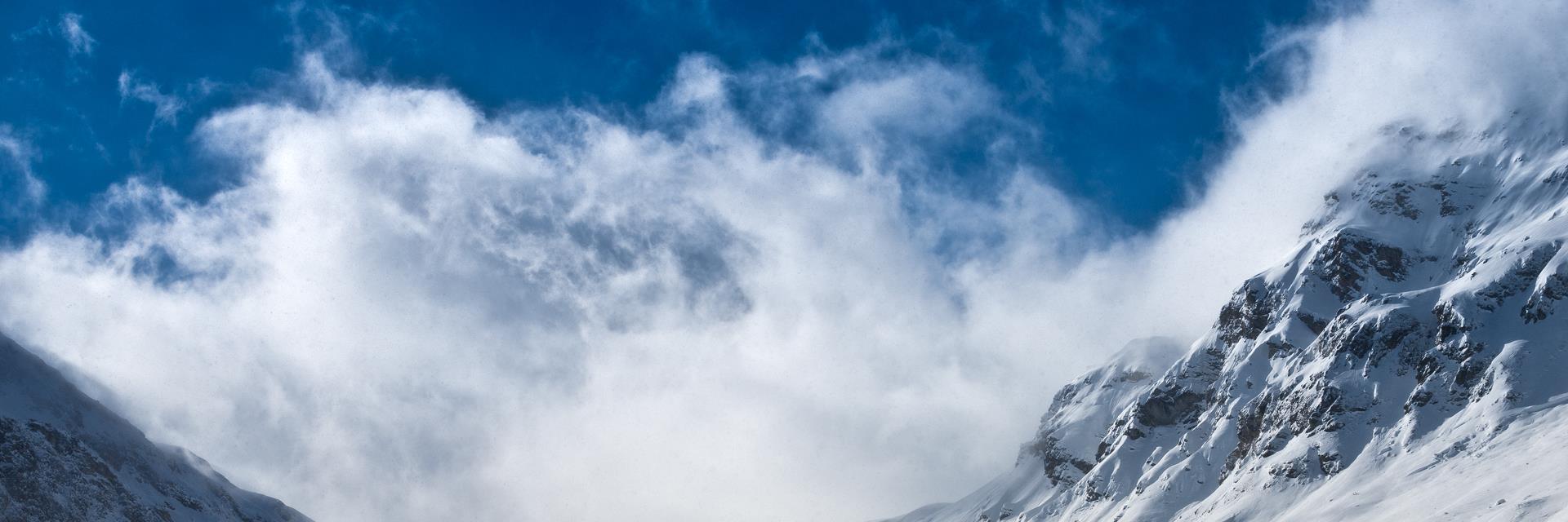 Anders Borum banner