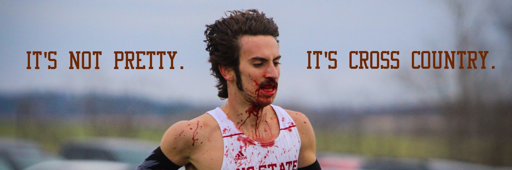 The Wood Report banner