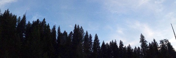 jennherna Profile Banner