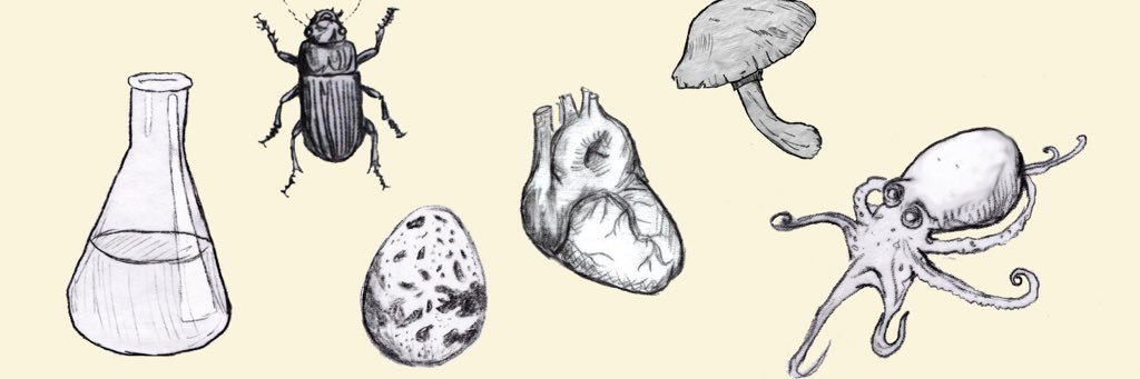 Ologies is on blooski banner