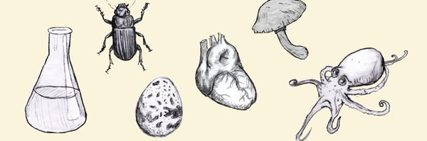 Ologies Profile Banner
