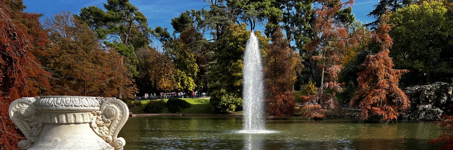 Julio Figueroa S. banner