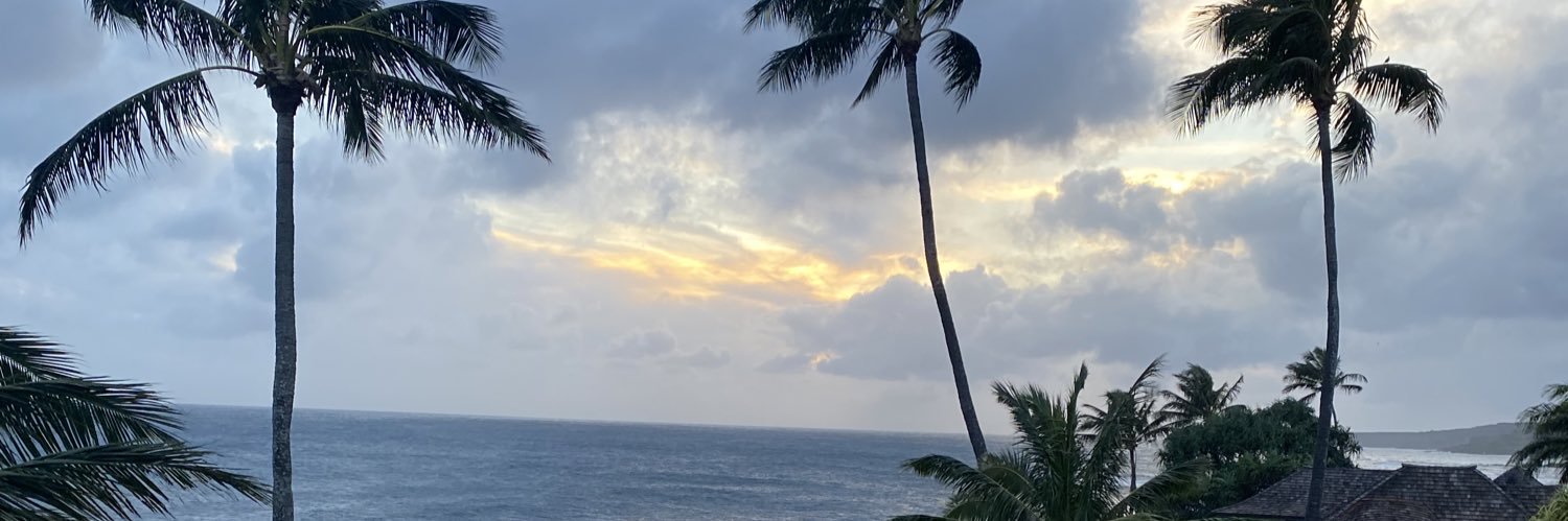 rluesebrink's profile banner image