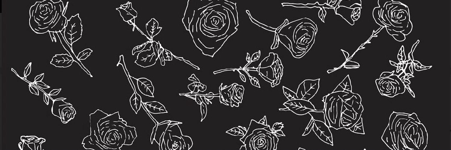 DSA Immigrants' Rights 🌹 banner