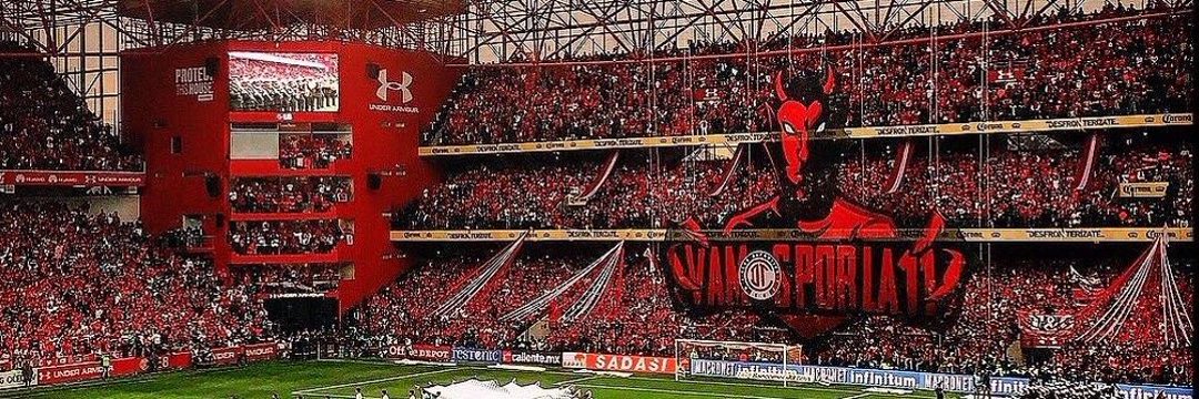 TolucaFC.net banner
