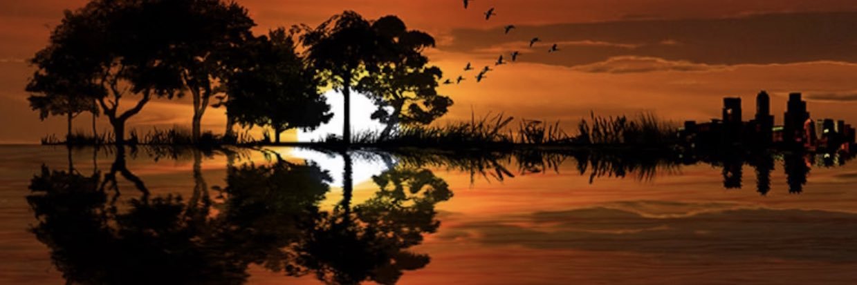 MarkRCronin's profile banner image