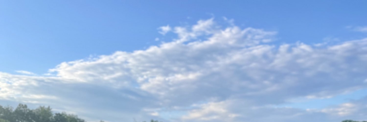 BEANardo44's profile banner image