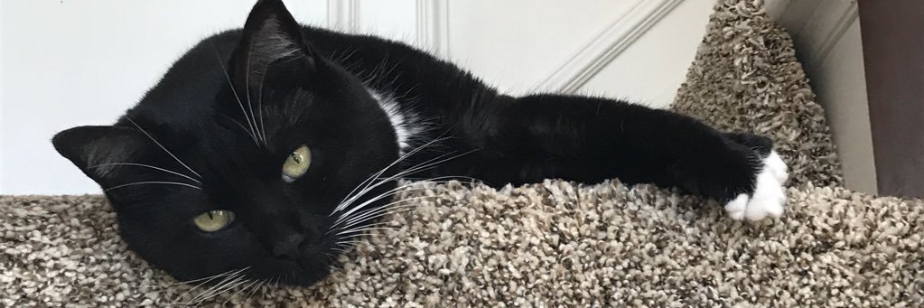 TuxRiley's profile banner image