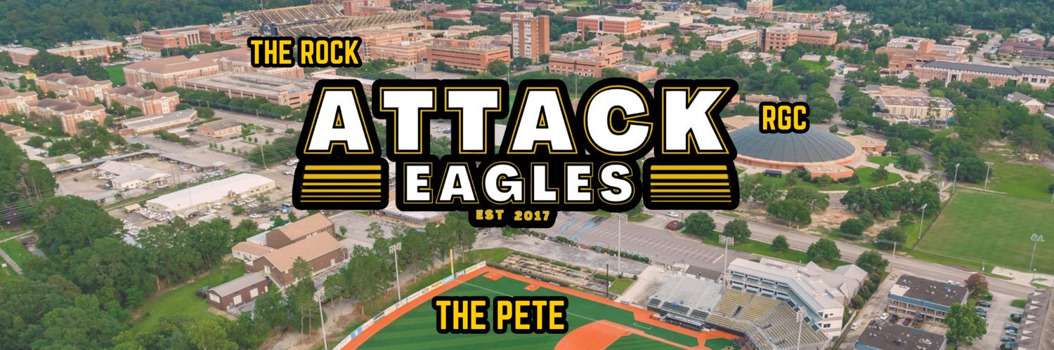 Attack Eagles🦅 banner