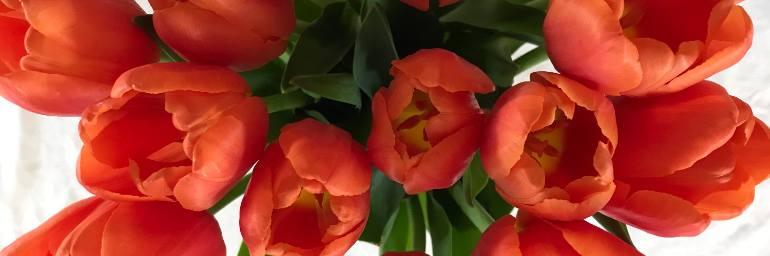 Liveyourbest4's profile banner image