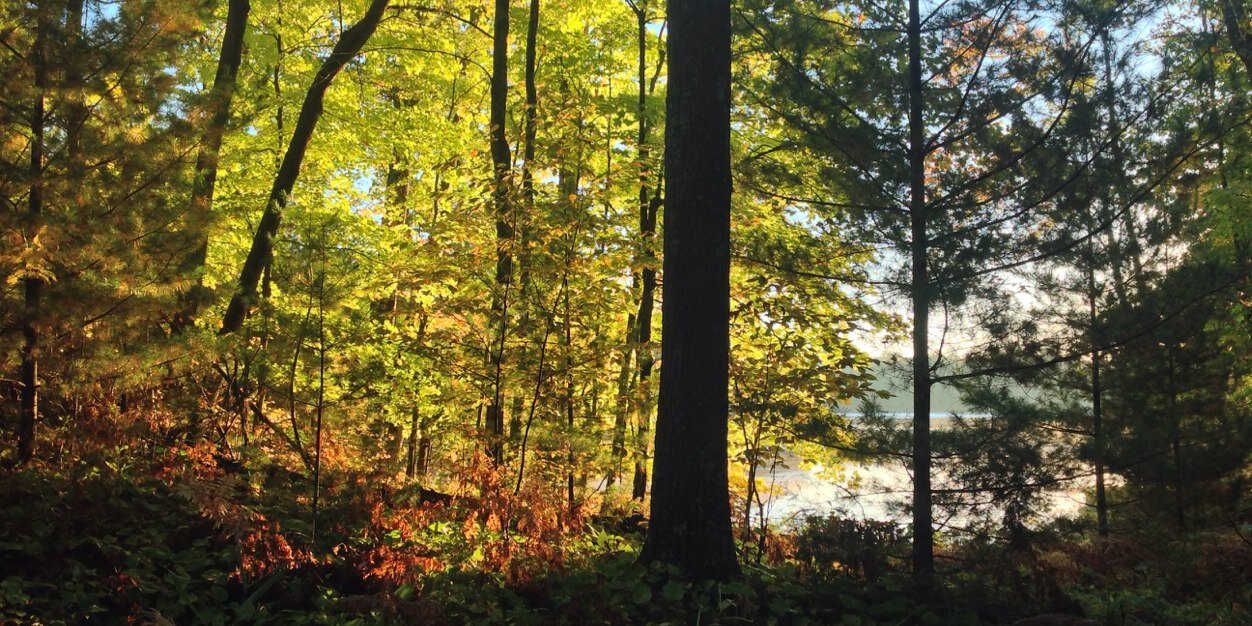 PaulRudin's profile banner image