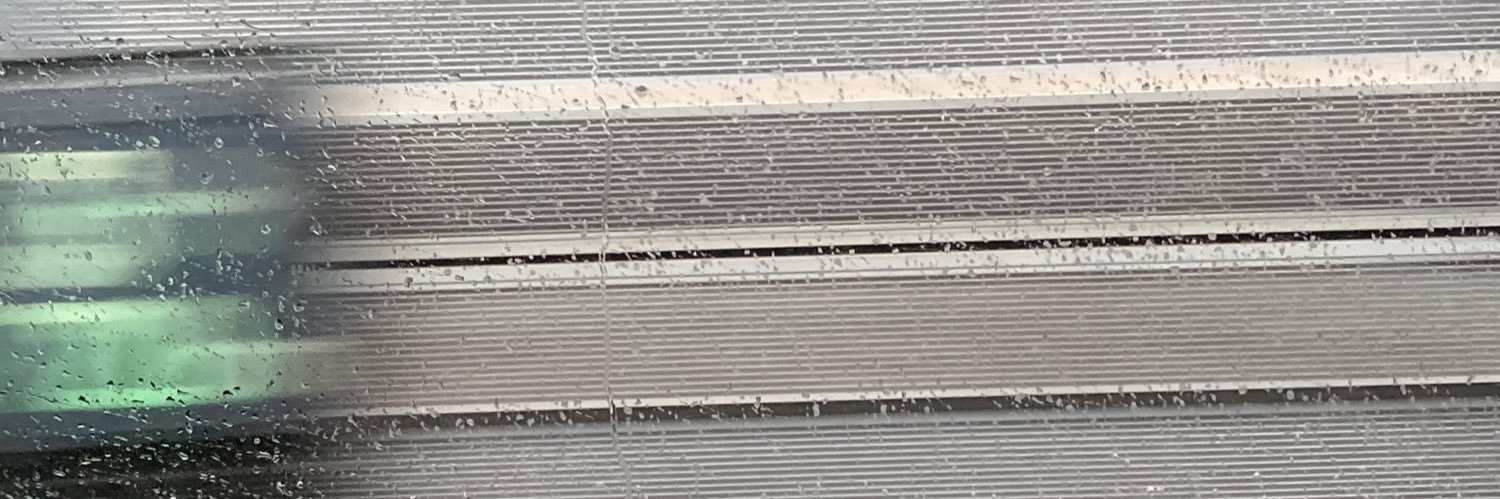 ℝ𝕒𝕡𝕙𝕒𝕖𝕝 ℝ𝕠𝕤𝕖𝕚𝕣𝕒 banner