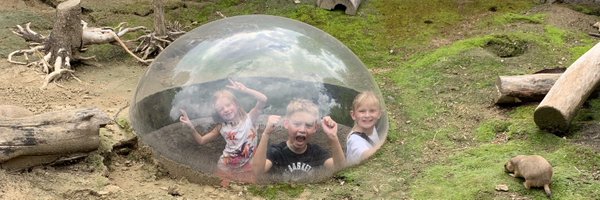 slthomps12 Profile Banner