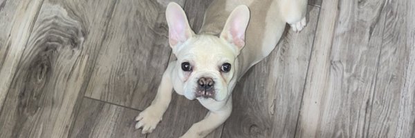 official_bryso Profile Banner