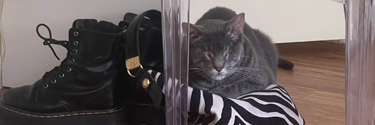 madisonstellly's profile banner image
