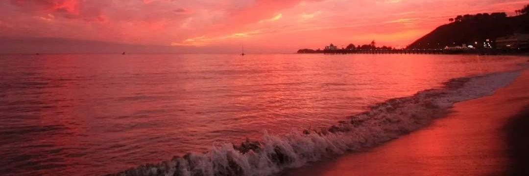 David Watson III banner