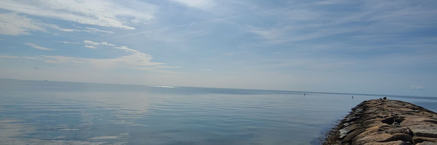 NPugliese16's profile banner image