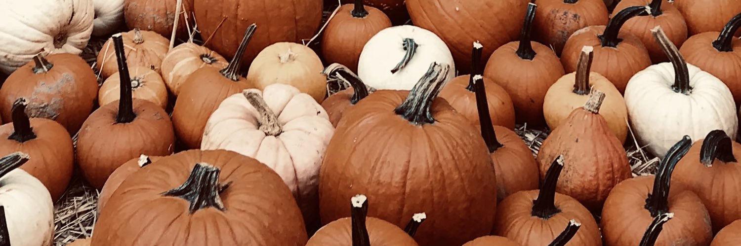 merhmc's profile banner image