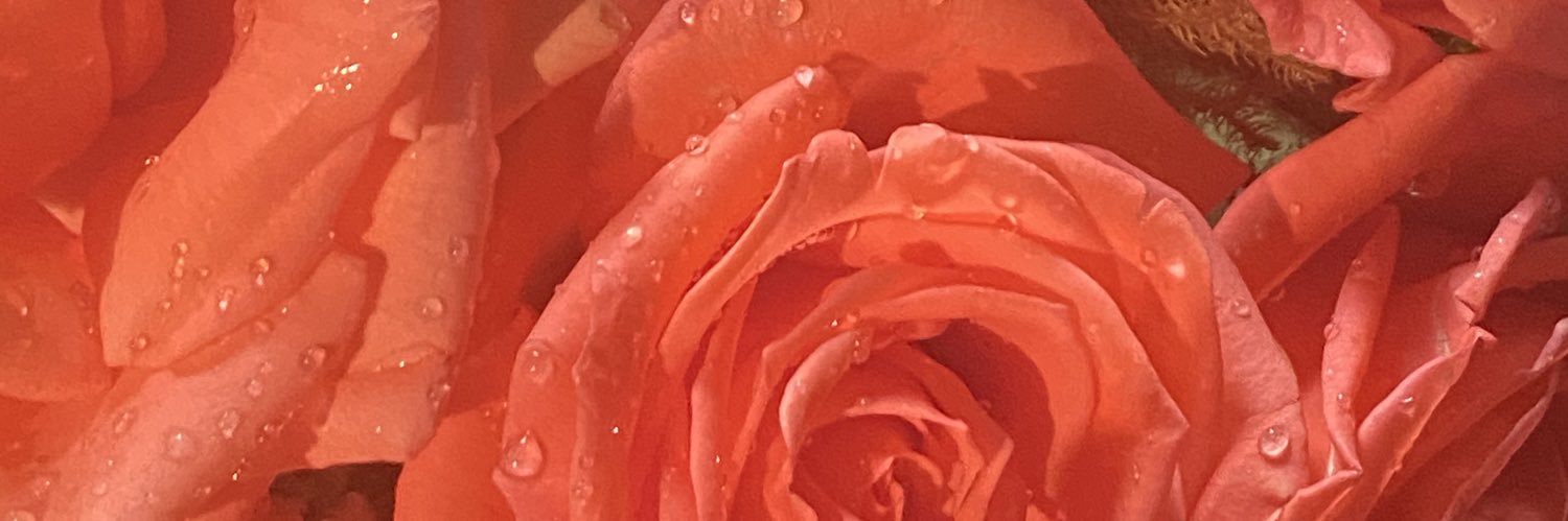 thanthinair's profile banner image