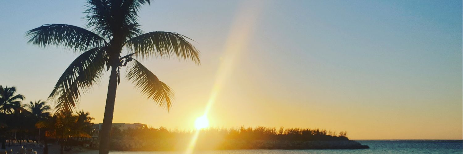 Literally_Amy's profile banner image