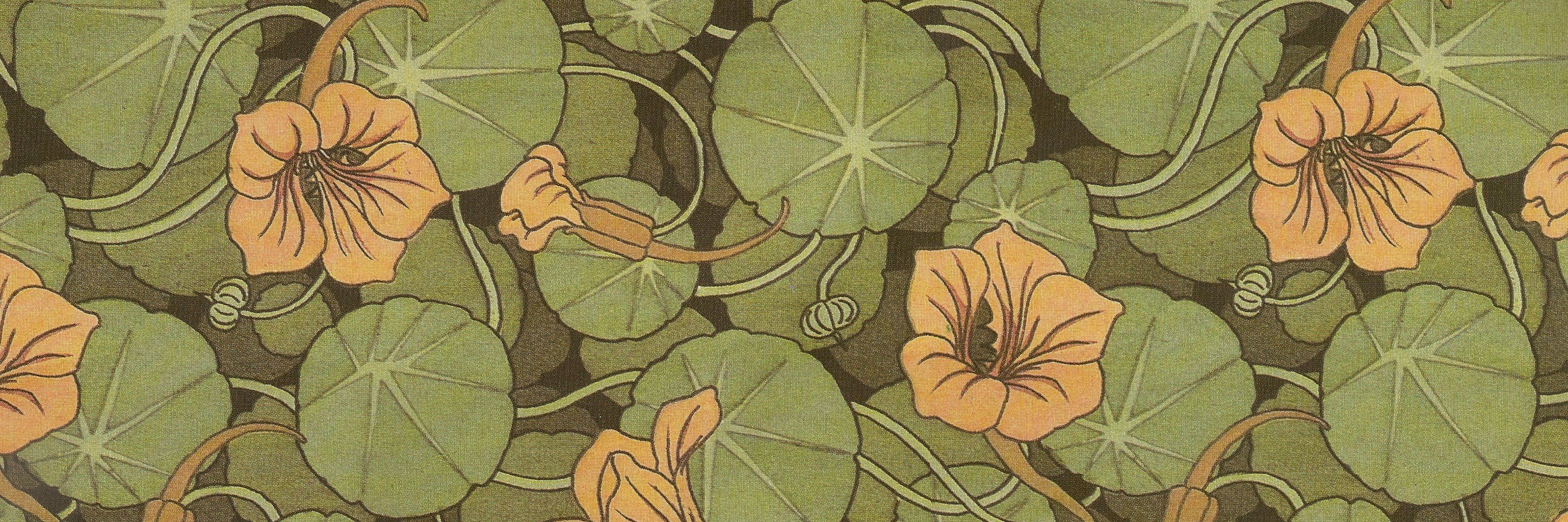 Dr. Tess Needham banner