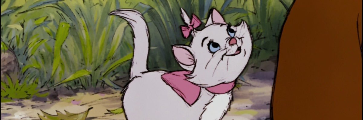 🎀🪞✨🤍 banner