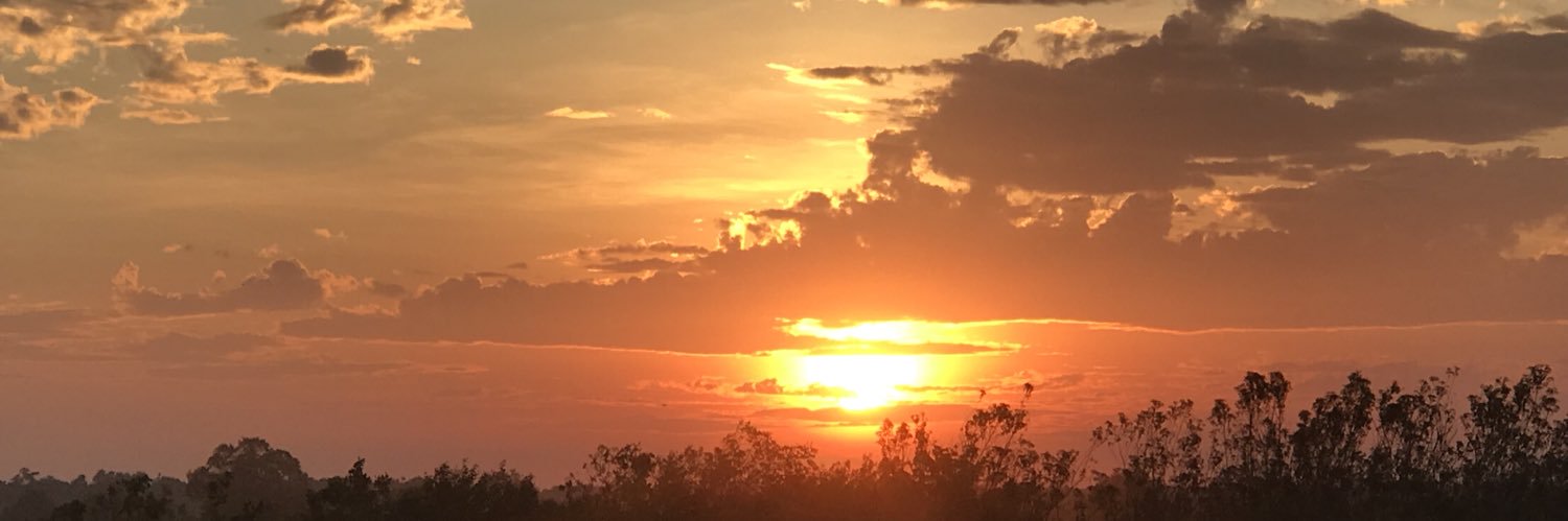 ebeltran86's profile banner image