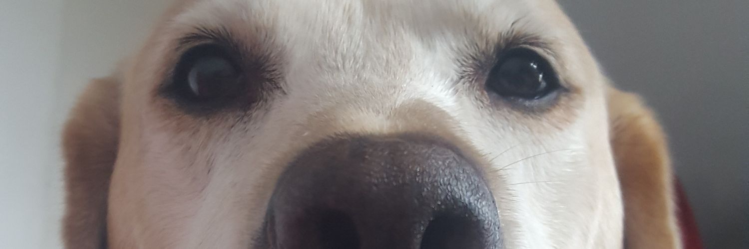 JonyEspejo's profile banner image