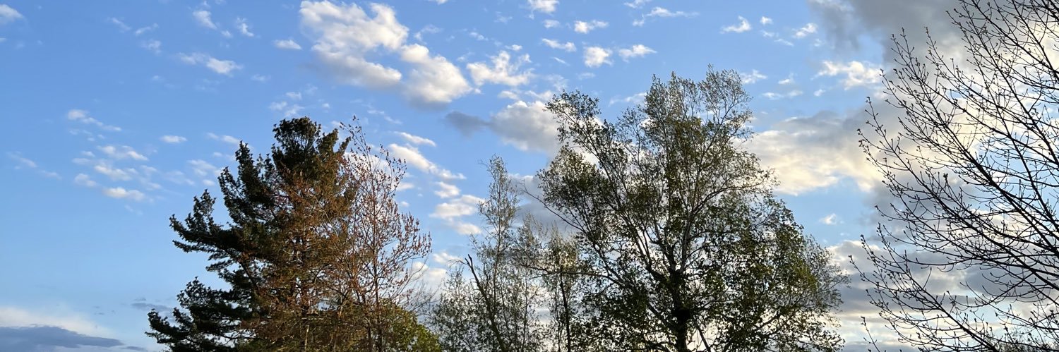 IanTuttle3's profile banner image