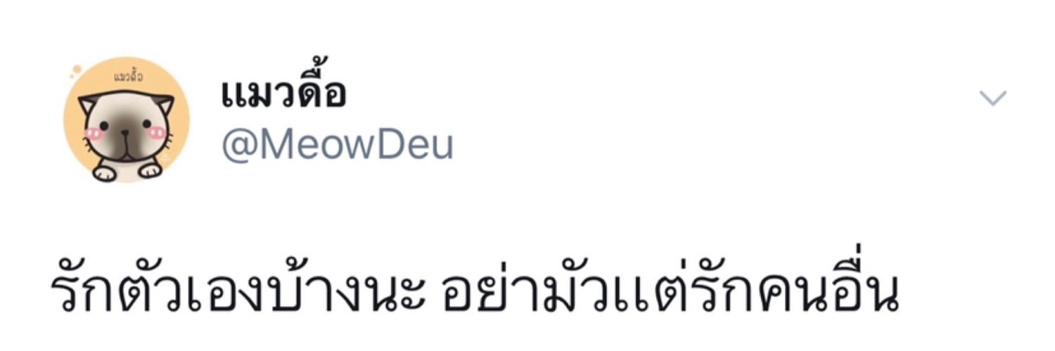 เเมวดื้อ banner