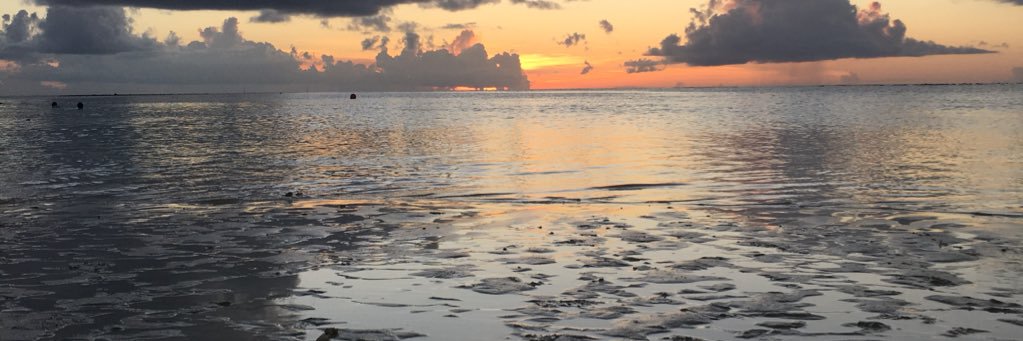 c8120's profile banner image