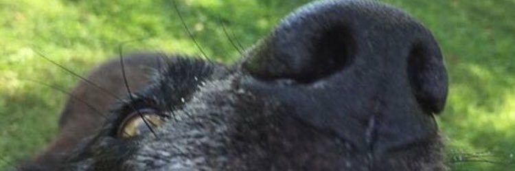 ginnnayyy's profile banner image