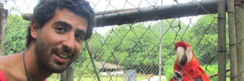 גל והתוכי 𓅆's banner