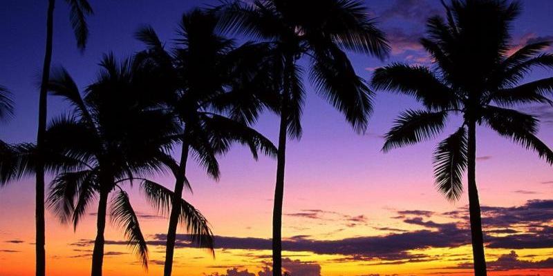 SolAlvaarez's profile banner image