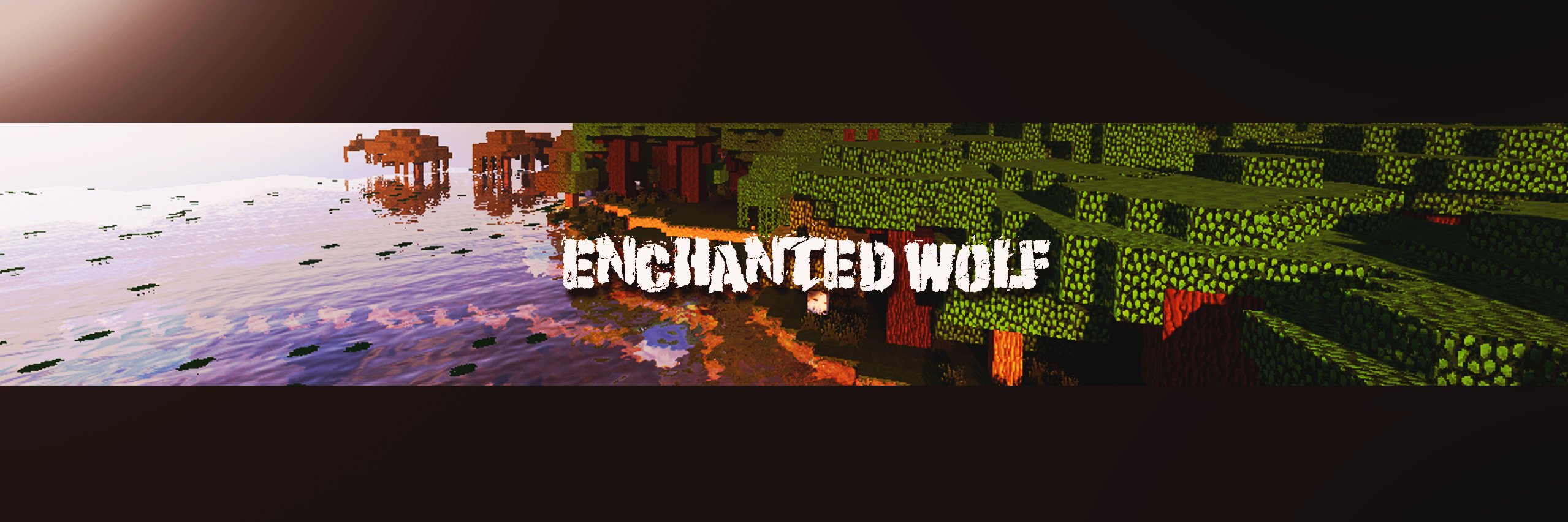 Aragorn banner