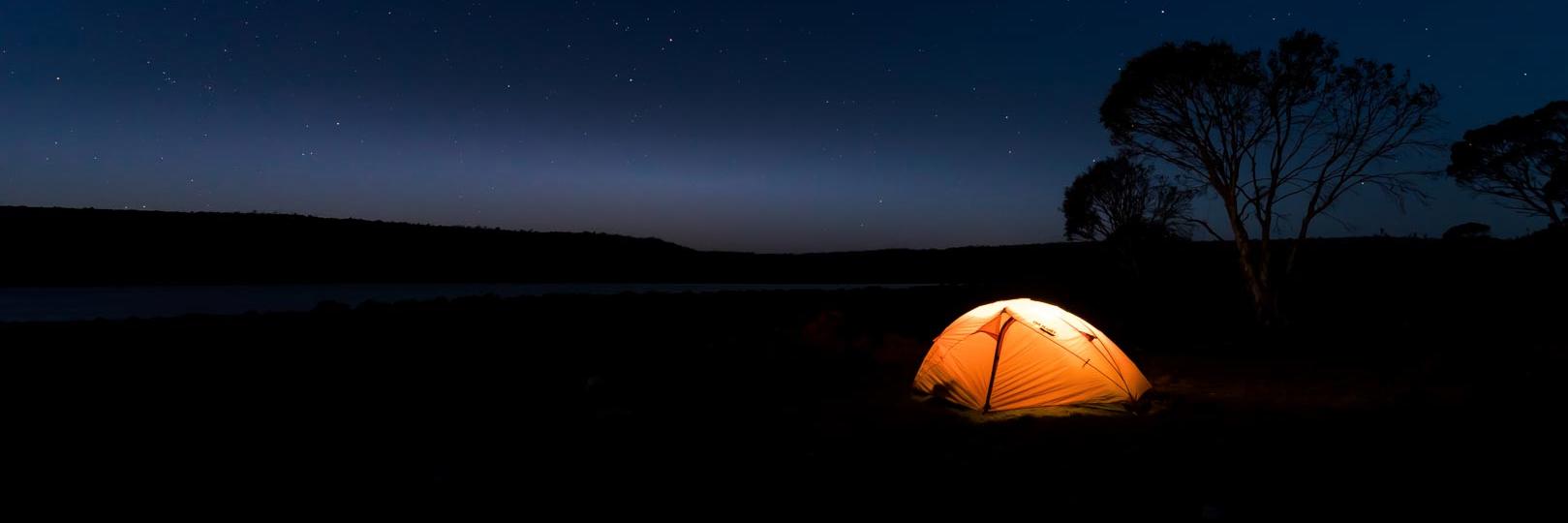 Craig Vertigan banner