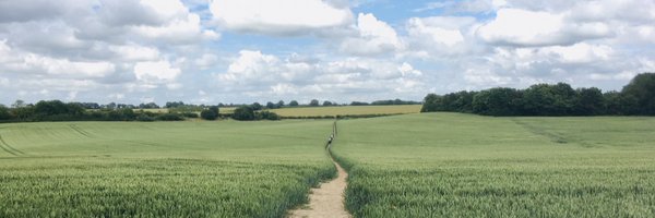 lizadeblock Profile Banner