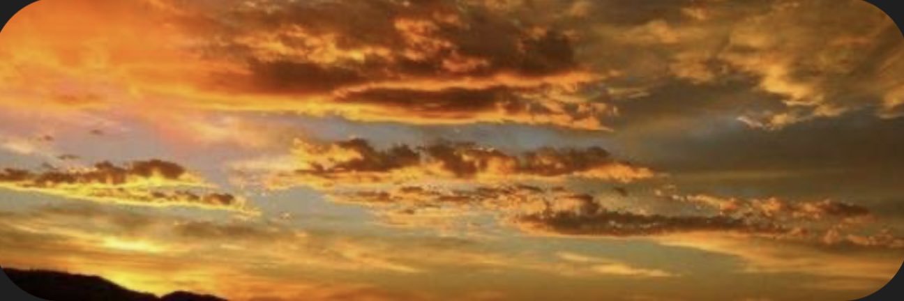 michelleburnss's profile banner image