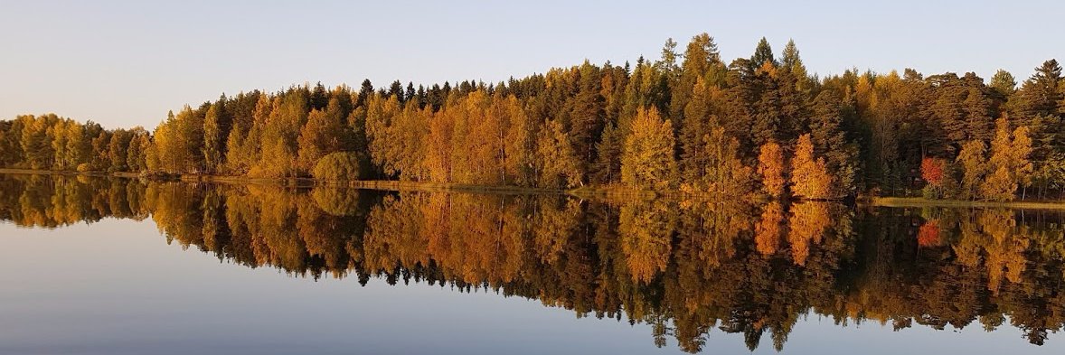 Jouko Kangasniemi banner