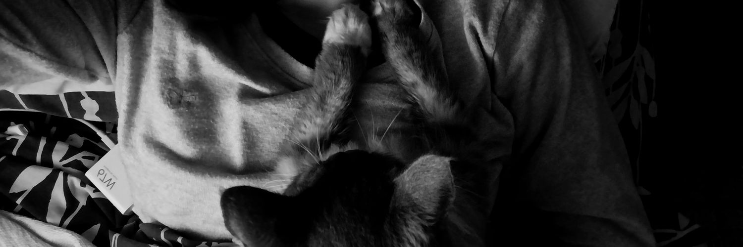 _nerucisneros's profile banner image